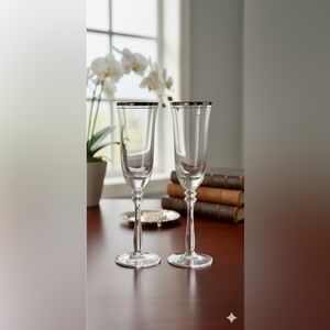VTG~ Mikasa EMPIRE PLATINUM GOLD Champagne Flutes